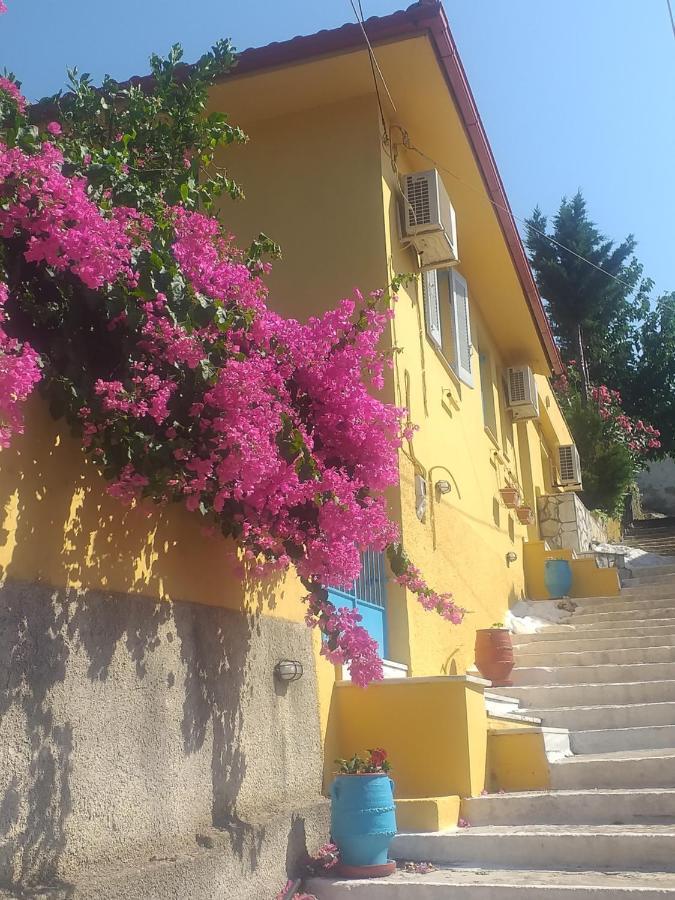 Villa Eleni فاثي المظهر الخارجي الصورة